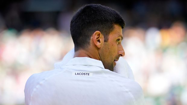 novak djokovic lacoste