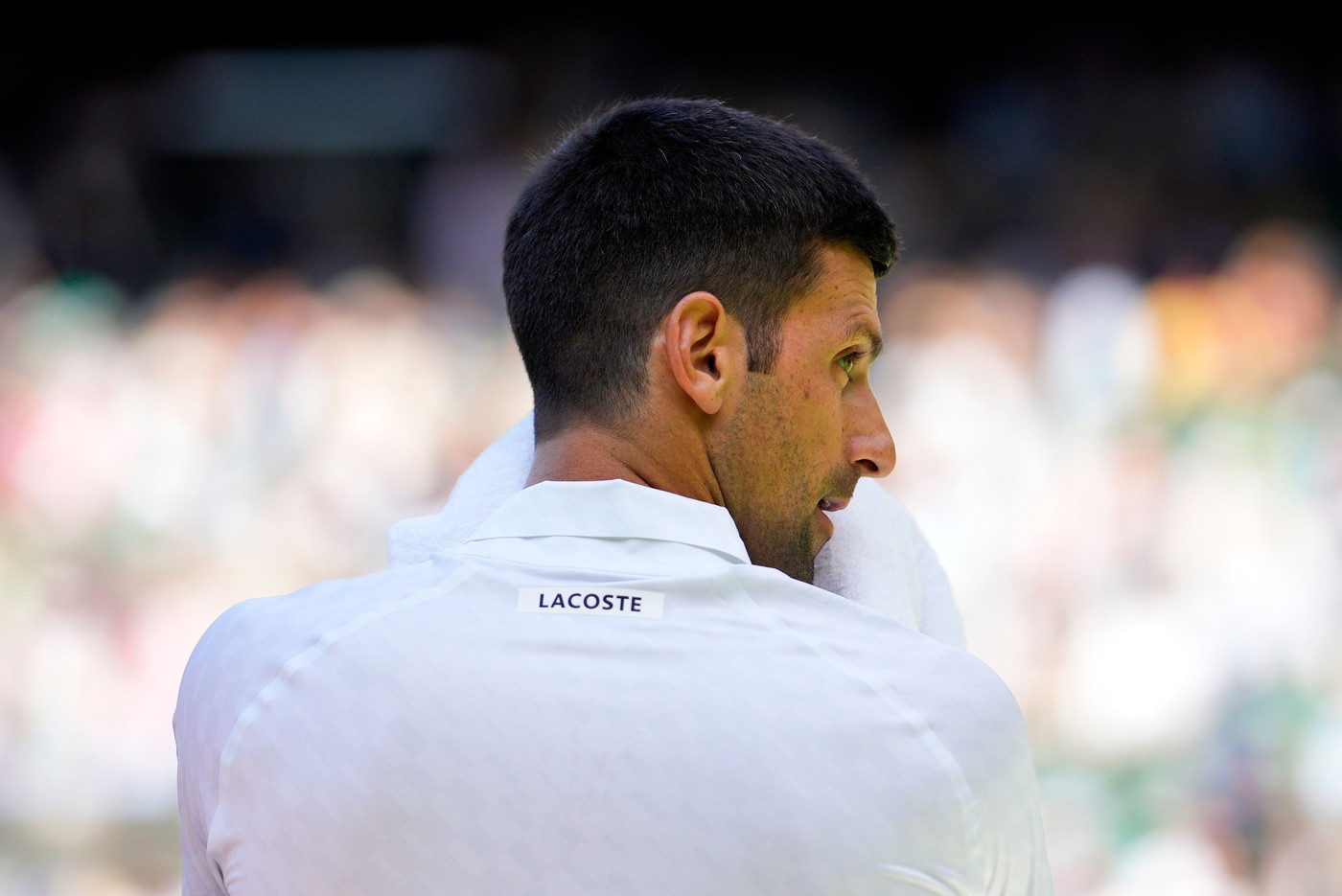 novak djokovic lacoste