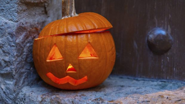 profimedia 0892184162