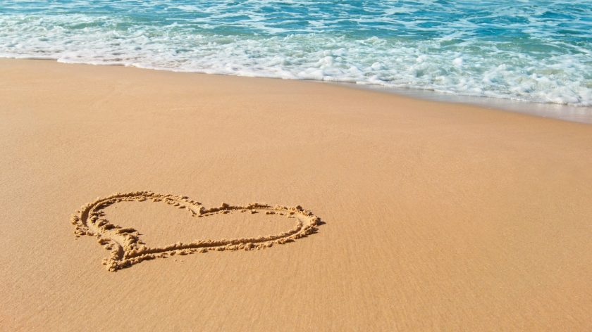 profimedia 0168739191