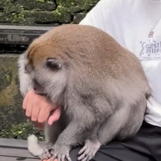 Screenshot 2025 12 22 131134